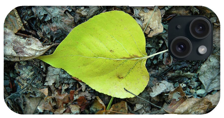 Leaf iPhone Case featuring the photograph A Leaf On The Ground by Jeff Swan