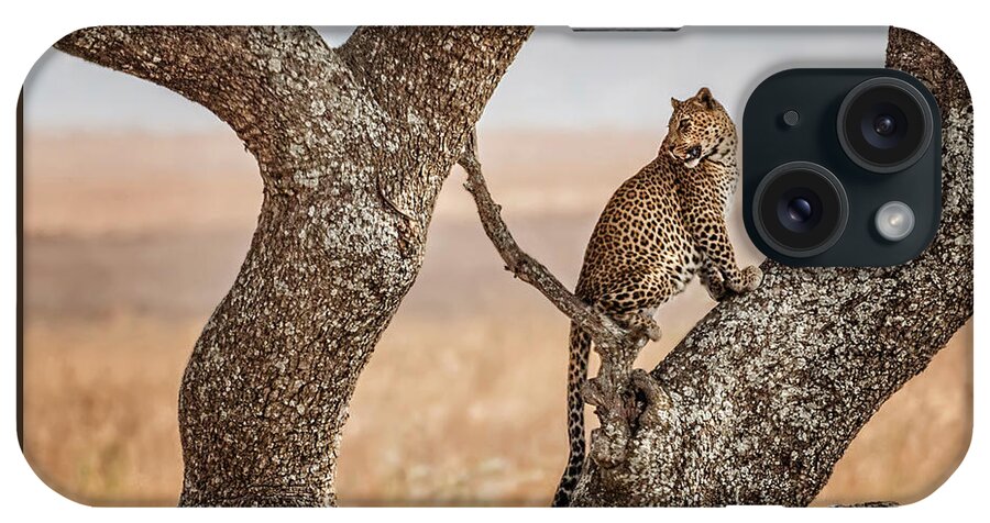 Africa iPhone Case featuring the photograph A Leopard in the Serengeti by Mitchell R Grosky