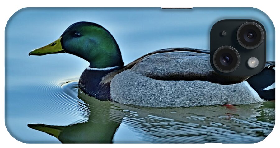 Mallard Duck iPhone Case featuring the photograph A Male Mallard Duck by Amazing Action Photo Video