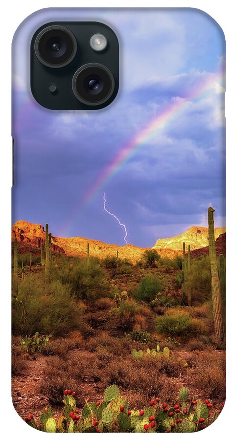 Arizona iPhone Case featuring the photograph A Miracle of Timing by Rick Furmanek