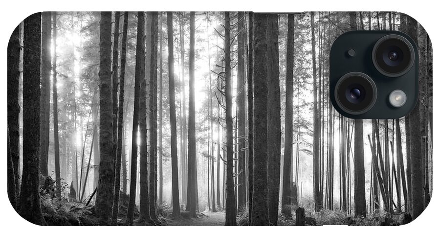 Landscape iPhone Case featuring the photograph A Path Through The Old Growth Black and White by Allan Van Gasbeck