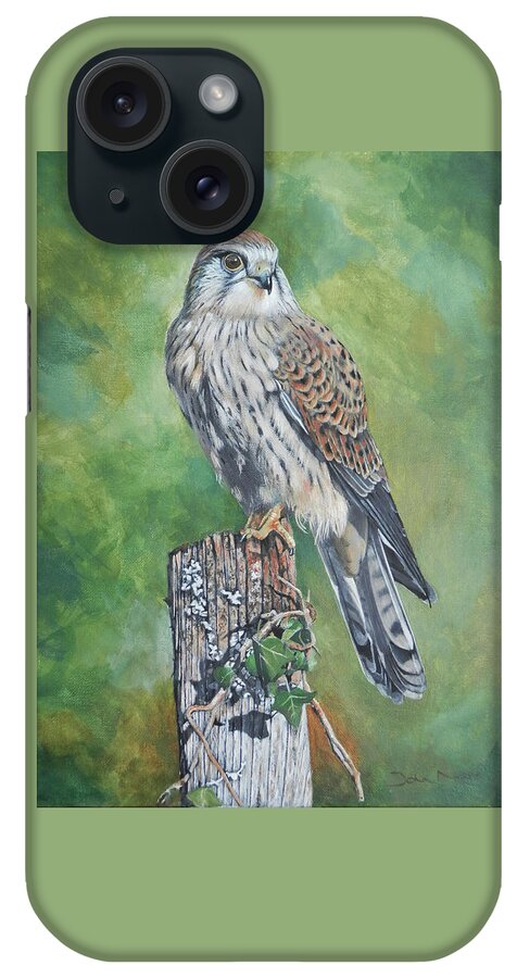 Kestrel iPhone Case featuring the painting A Perched Kestrel by John Neeve