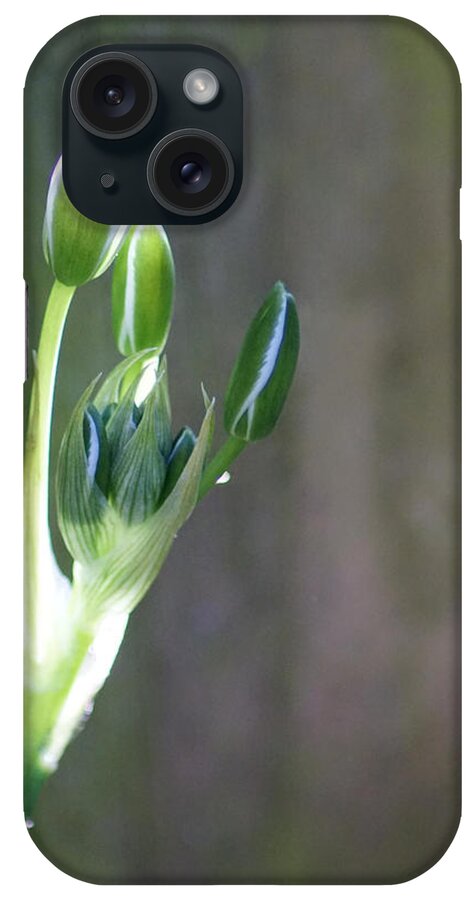 Nature iPhone Case featuring the photograph A Pretty Flower To Be by Jolly Van der Velden