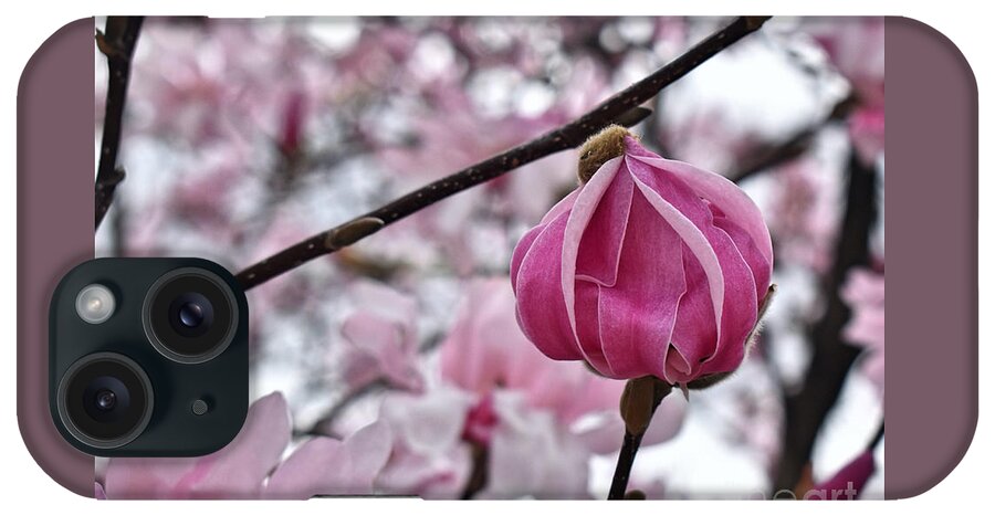Sold iPhone Case featuring the photograph A Promise Of Spring by Linda Brittain