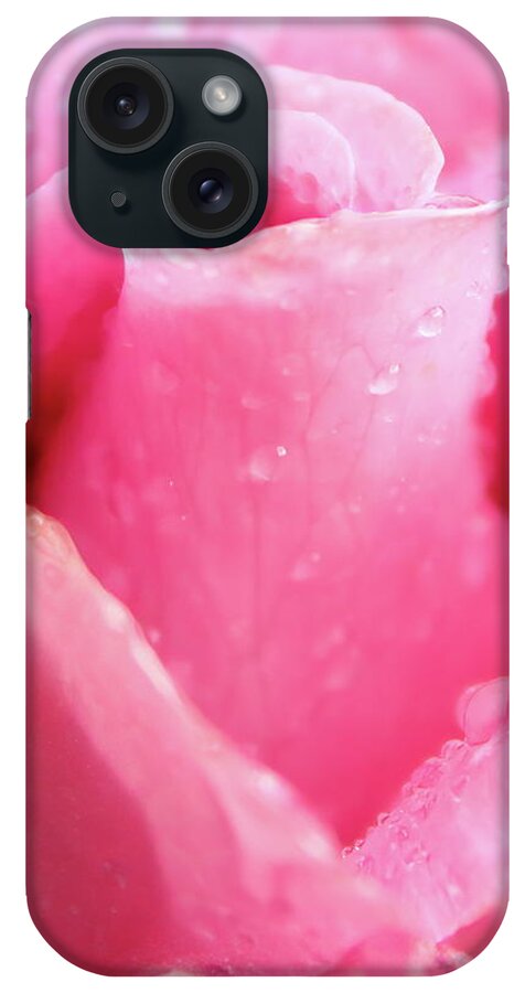 Rose iPhone Case featuring the photograph A Rose Is A Rose by Lens Art Photography By Larry Trager