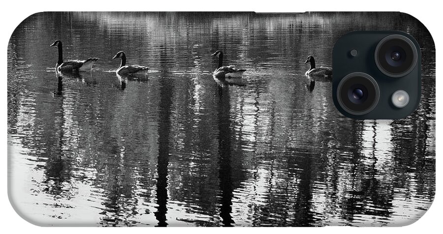 Geese iPhone Case featuring the photograph A Swim in the Pond by George Taylor