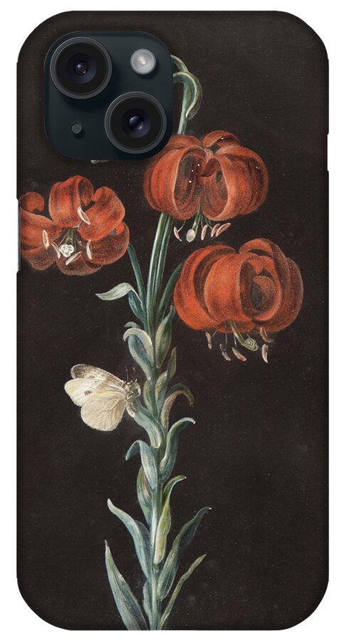 Vintage iPhone Case featuring the painting A Turks Cap Lily , Gouache on Vellum with Frame by Barbara Regina Dietzsch Mid 18th Century by MotionAge Designs