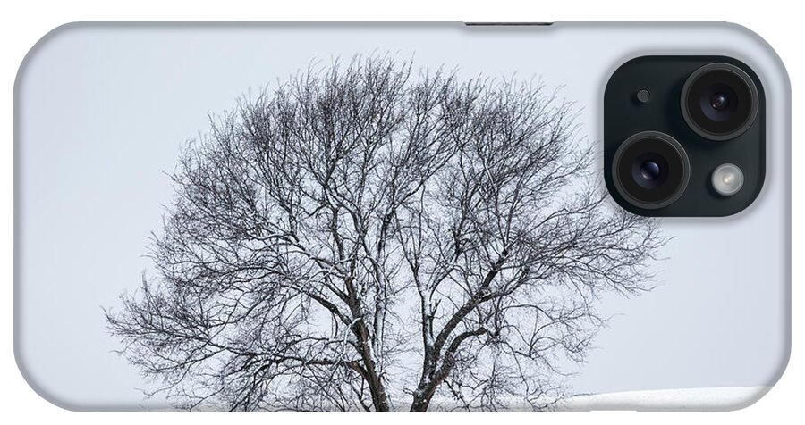 Clay iPhone Case featuring the photograph A Winter Tree by Scott Bean
