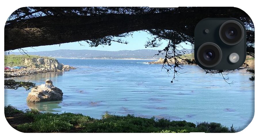 Sea iPhone Case featuring the photograph Whalers Cove Point Lobos #1 by Luisa Millicent