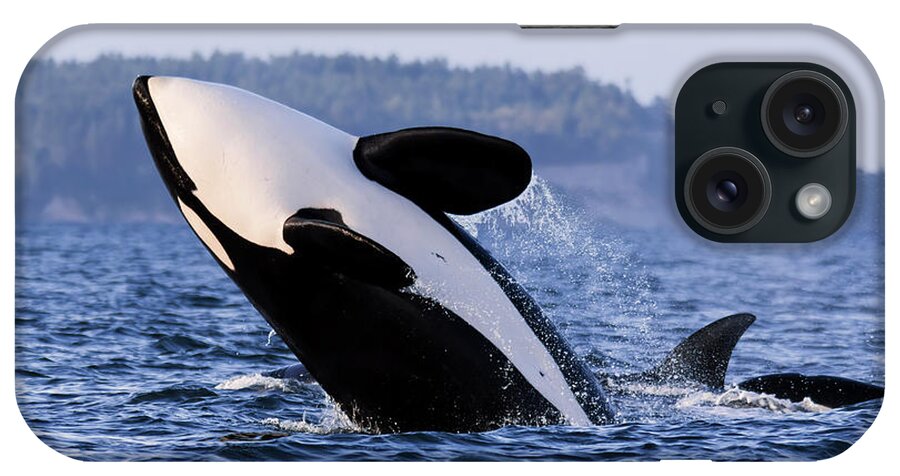 Absolutely Free iPhone Case featuring the photograph Absolutely Free - Whale Art by Jordan Blackstone