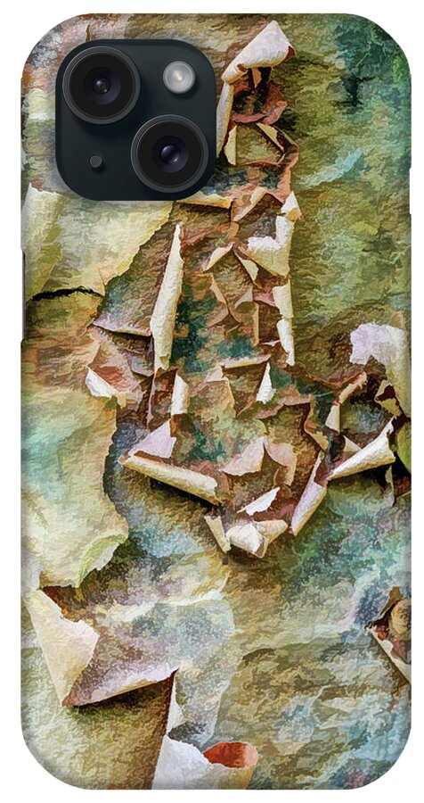 Paperbark Maple iPhone Case featuring the photograph Abstract Art In The Tree Trunk by Gary Slawsky