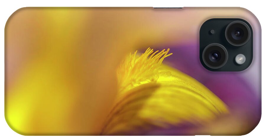  iPhone Case featuring the photograph Abstract Macro Of Iris Snapshot by Jenny Rainbow