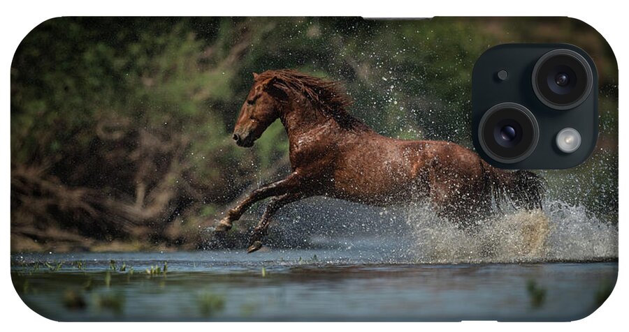 Stallion iPhone Case featuring the photograph Action by Shannon Hastings