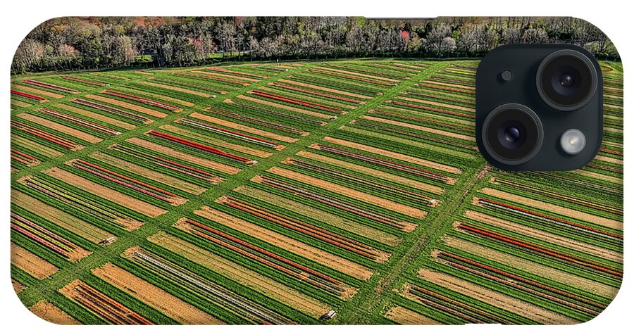 Tulip iPhone Case featuring the photograph Aerial Tulip Farm NJ by Susan Candelario