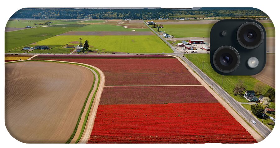 Skagit Valley Tulips iPhone Case featuring the photograph Aerial Tulips5 by Michael Rauwolf