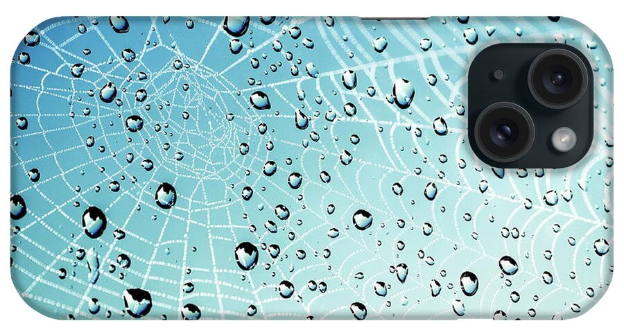 Cobweb iPhone Case featuring the photograph After the Rain Cobwebs by Andrea Kollo