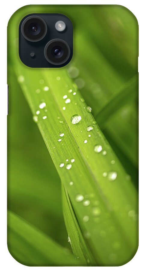 Mombretia iPhone Case featuring the photograph After the rain by Average Images