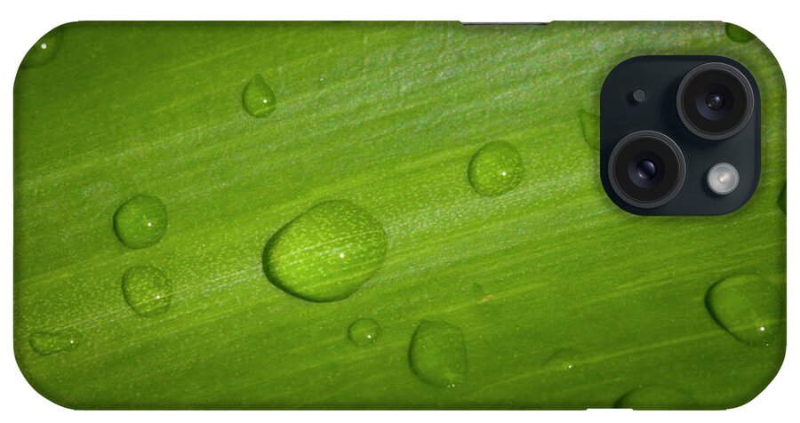 Leaf iPhone Case featuring the photograph After the Rain by Mark Andrew Thomas