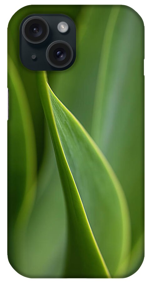Agave iPhone Case featuring the photograph Agave Lines by Teresa Wilson