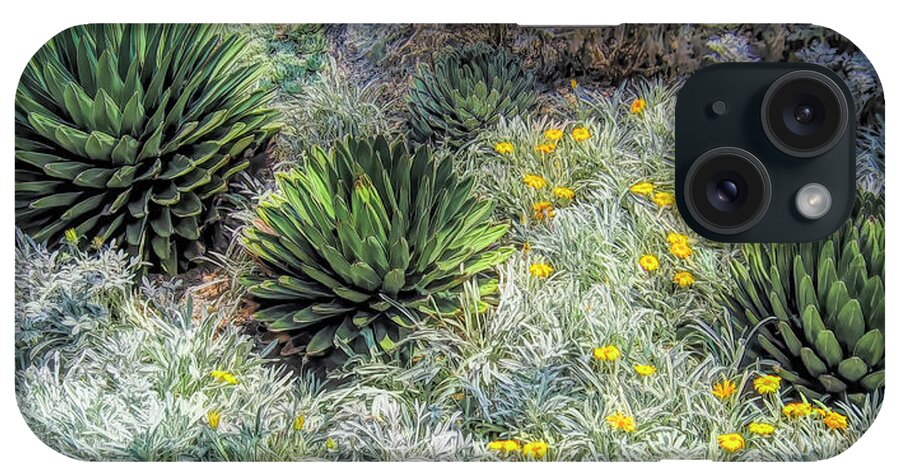 Agave iPhone Case featuring the photograph Agave Times Three by Ginger Stein