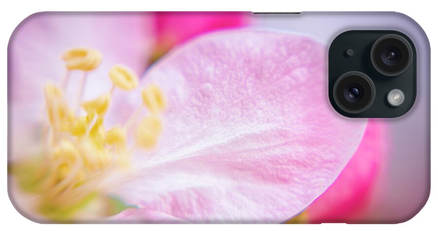 Airy iPhone Case featuring the photograph Airy Apple Blossoms by Christi Kraft