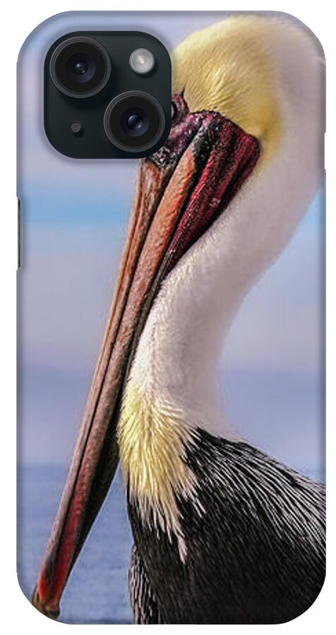 Bird Photography iPhone Case featuring the photograph Alan the Pretty Pelican 2 by Sally Bauer