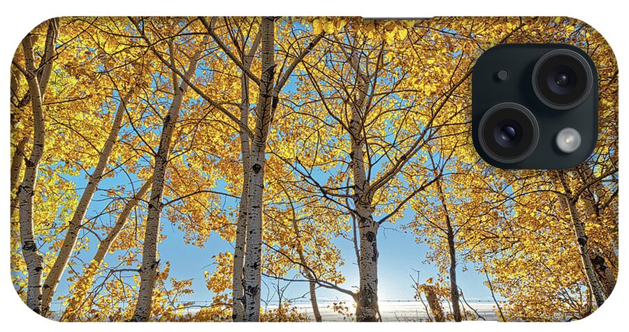 Landscape iPhone Case featuring the photograph Alberta Autumn Morning by Dan Jurak