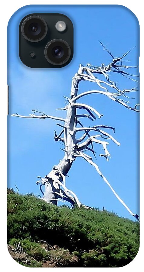 Scenic iPhone Case featuring the photograph Alien Tree by AJ Schibig