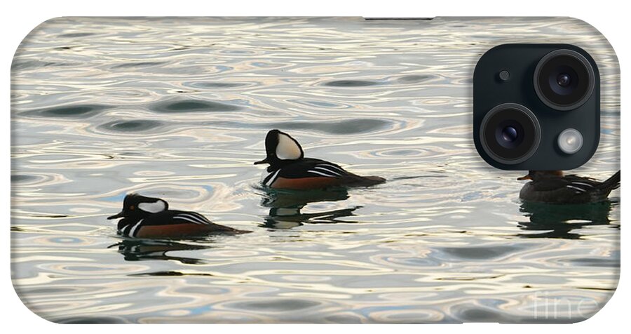 Hooded Mergansers iPhone Case featuring the photograph All in the Family by fototaker Tony