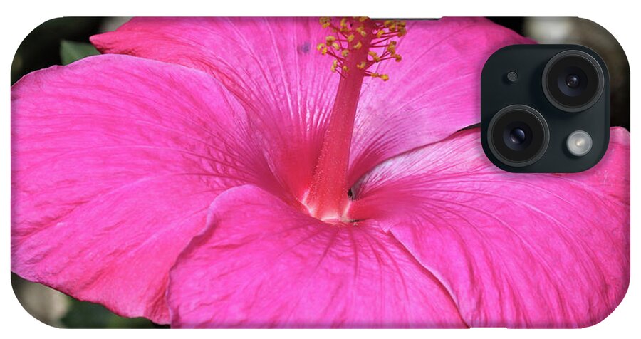 Flowers iPhone Case featuring the pyrography All Pink by Tony Spencer