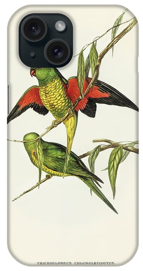 Ancient iPhone Case featuring the painting Allied Petrel Puffinus assimilis illustrated by Elizabeth Gould 1804-1841 for John Goulds 1804-1881 by Les Classics
