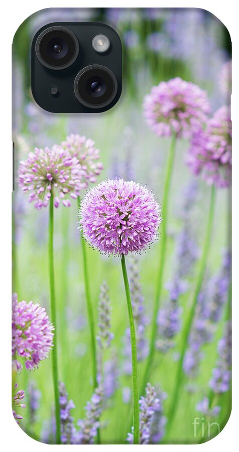 Allium Quattro iPhone Case featuring the photograph Allium Quattro and Lavender by Tim Gainey