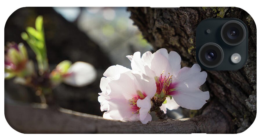 Almond Blossom iPhone Case featuring the photograph Almond Blossom 6 by Adriana Mueller