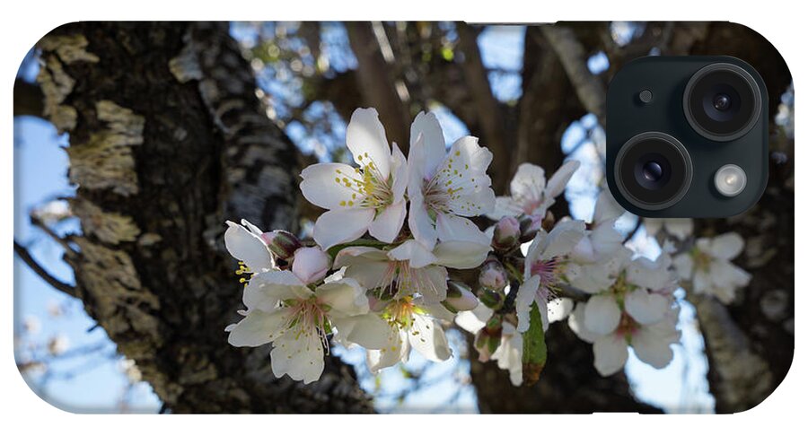 Almond Blossom iPhone Case featuring the photograph White flowers in the penumbra of the almond tree by Adriana Mueller