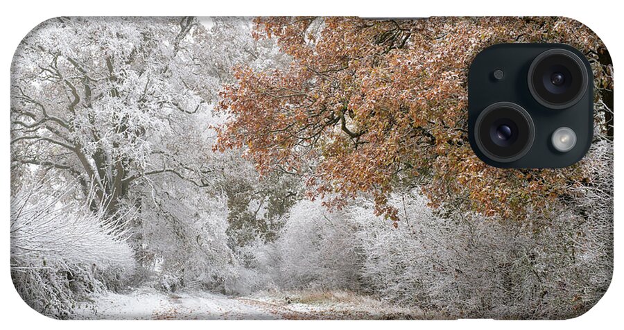 Oak iPhone Case featuring the photograph Along a Cotswold Winter Road by Tim Gainey