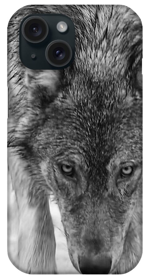 Wolf iPhone Case featuring the photograph Alpha by Carolyn Mickulas