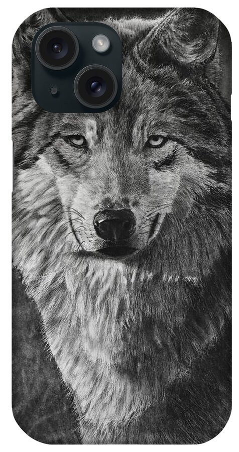 Wolf iPhone Case featuring the drawing Alpha by Greg Fox
