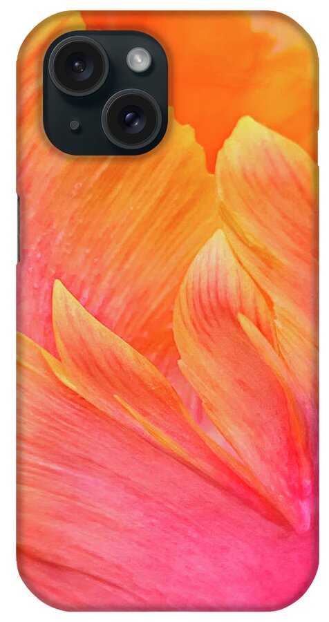 Amazing Parrot Tulip iPhone Case featuring the photograph Amazing Parrot Tulip by Jill Love