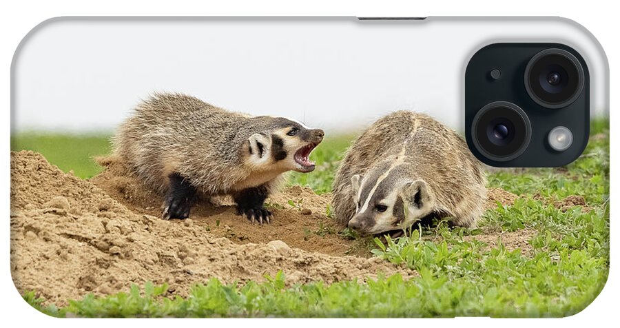 Badger iPhone Case featuring the photograph American Badger Cub Tries to Get Mom to Play by Tony Hake