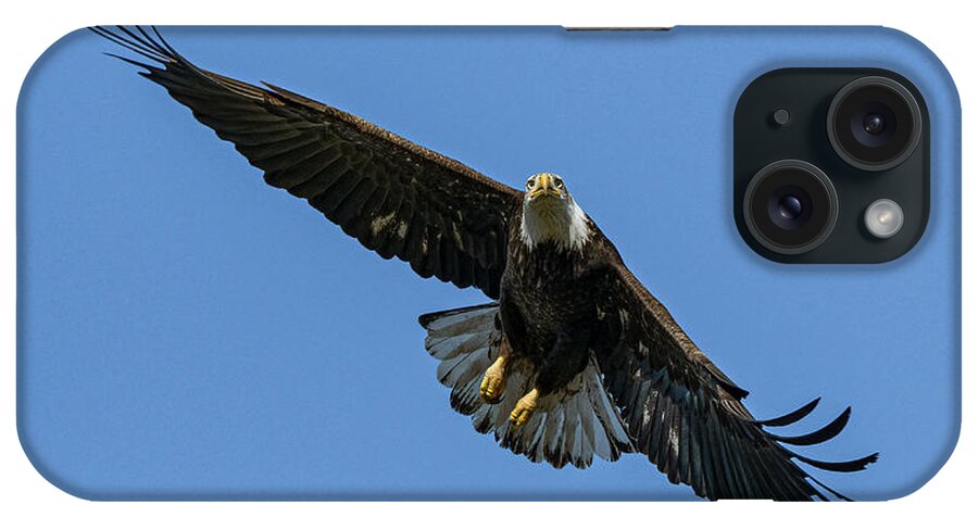 Raptor iPhone Case featuring the photograph American Bald Eagle 7 by Rick Mosher