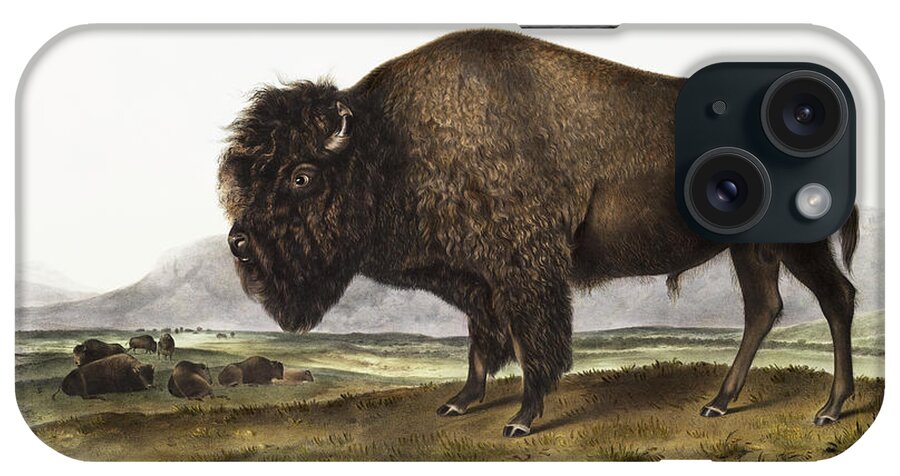 American Animals iPhone Case featuring the mixed media American Bison. John Woodhouse Audubon by World Art Collective