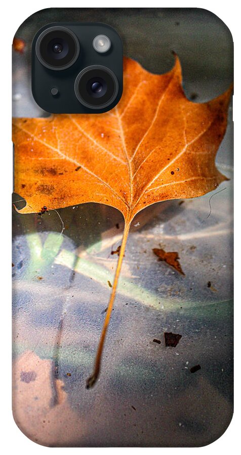 Platanus Occidentalis iPhone Case featuring the photograph American Sycamore Leaf in Water by W Craig Photography