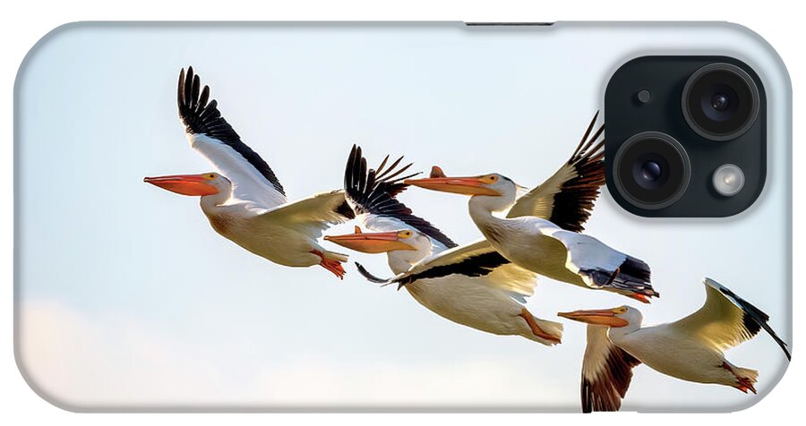 Bird iPhone Case featuring the photograph American White Pelicans by Al Mueller
