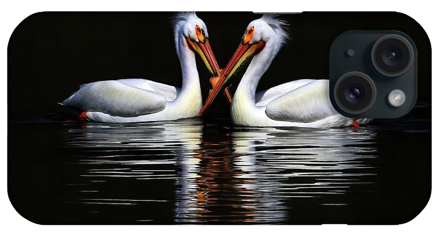 American White Pelican iPhone Case featuring the photograph American White Pelicans by Shixing Wen