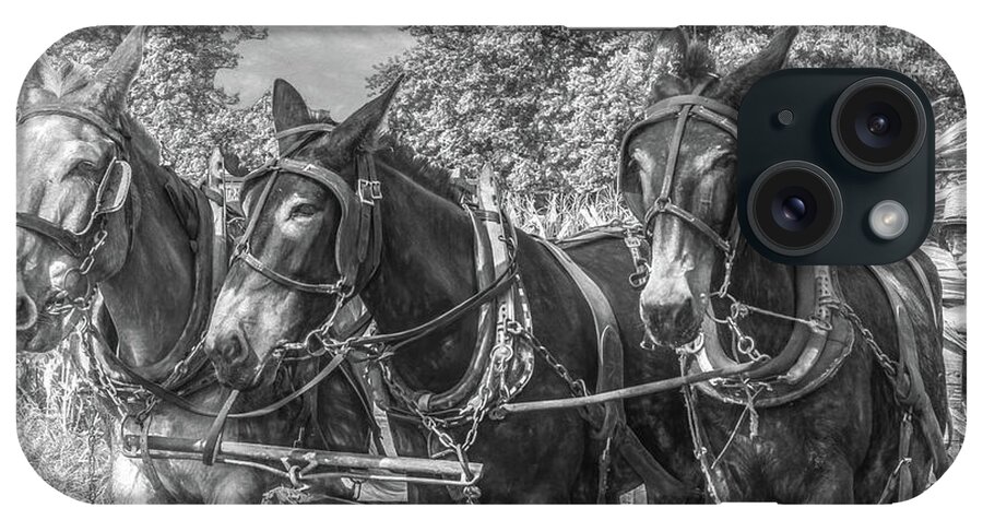 Horses iPhone Case featuring the photograph Amish Corn Harvest, Lancaster County by Marcy Wielfaert