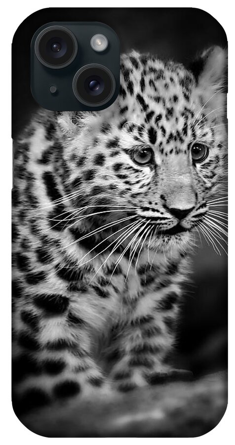 Amur iPhone Case featuring the photograph Amur Leopard Cub - B/W by Chris Boulton
