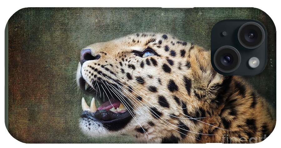 Leopard iPhone Case featuring the photograph Amur leopard looking up. iIndigenous to southeastern Russia and northeast China, and listed as Critically Endangered. Processed to look like an old painting. by Jane Rix