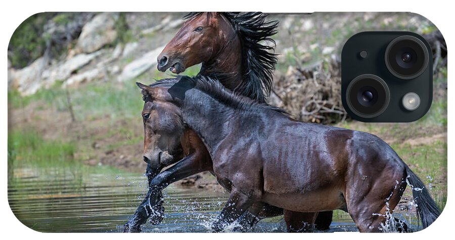 Stallion iPhone Case featuring the photograph An Aquatic Battle. by Paul Martin