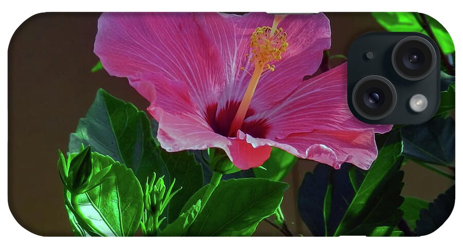 Hibiscus iPhone Case featuring the photograph An Explosion of Pink by Laura Putman