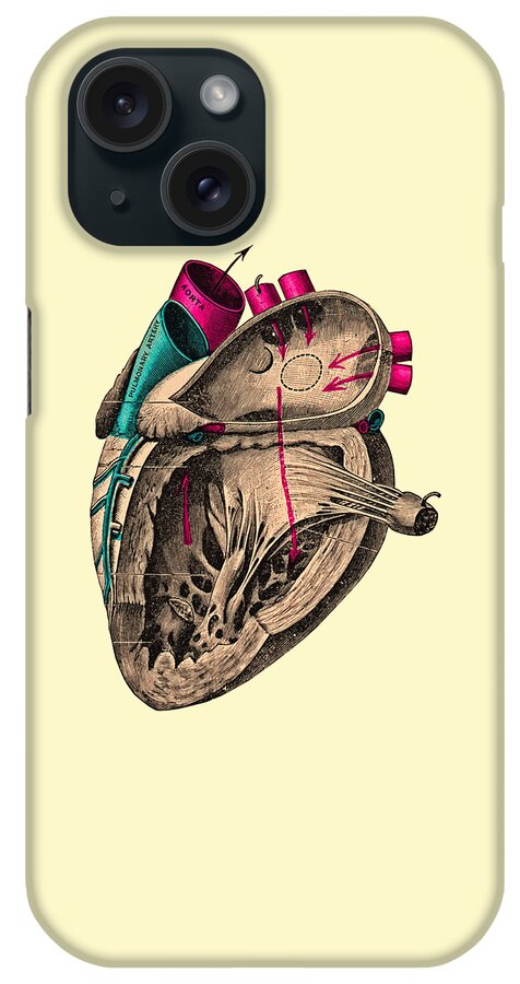 Heart iPhone Case featuring the digital art Anatomy Heart Diagram by Madame Memento